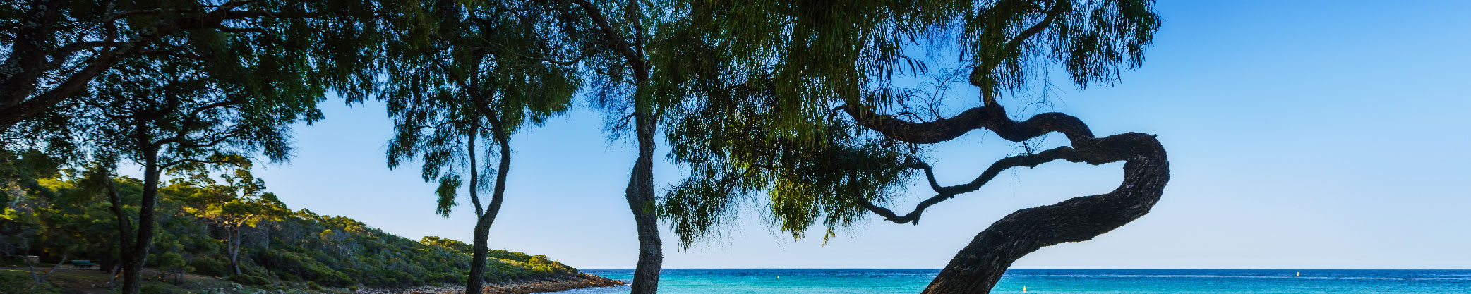 Beach landscape