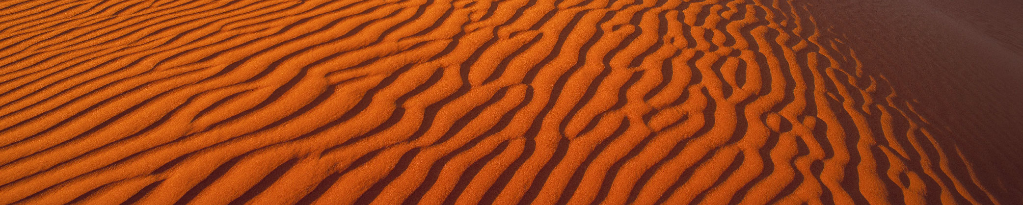 Simpson Desert landscape sand
